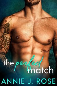 perfect match, annie j rose, epub, pdf, mobi, download