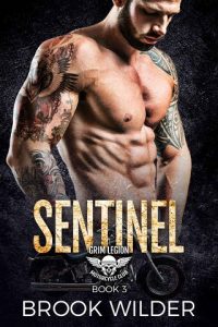 sentinel, brook wilder, epub, pdf, mobi, download