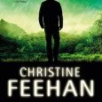 toxic game christine feehan