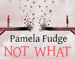 what it seems pamela fudge