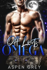 off limits, aspen grey, epub, pdf, mobi, download