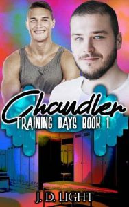 chandler, jd light, epub, pdf, mobi, download