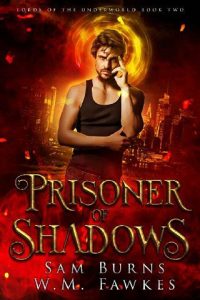 prisoner shadows, sam burns, epub, pdf, mobi, download