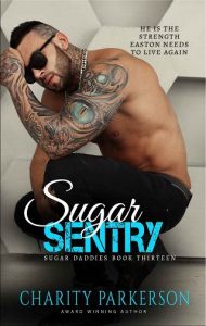 sentry, charity parkerson, epub, pdf, mobi, download