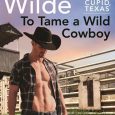 wild cowboy lori wilde