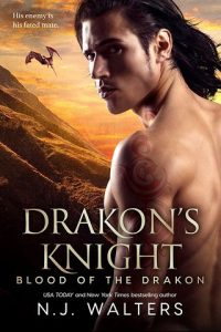 drakon's knight, nj walters, epub, pdf, mobi, download