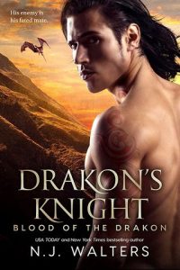 drakon's knight, nj walters, epub, pdf, mobi, download