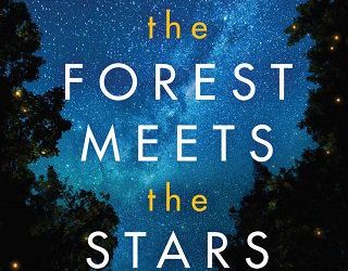 forest meets stars glendy vanderah