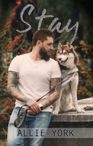 stay, allie york, epub, pdf, mobi, download