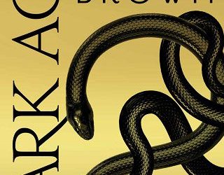 dark age pierce brown