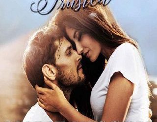 lawfully trusted maire higgins