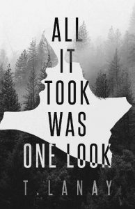 one look, t lanay, epub, pdf, mobi, download