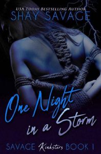 one night storm, shay savage, epub, pdf, mobi, download