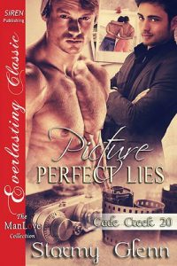 perfect lies, stormy glenn, epub, pdf, mobi, download