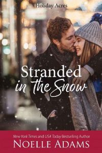 stranded snow, noelle adams, epub, pdf, mobi, download