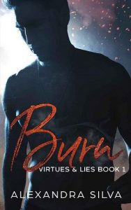 burn, alexandra silva, epub, pdf, mobi, download