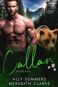 callan, ally summers, epub, pdf, mobi, download