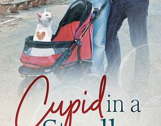 cupid stroller avery duran
