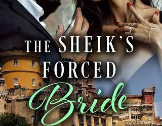 forced bride erin snihur
