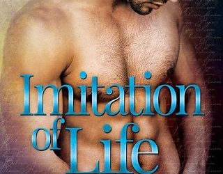 imitation life felice stevens