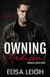 owning madison, elisa leigh, epub, pdf, mobi, download