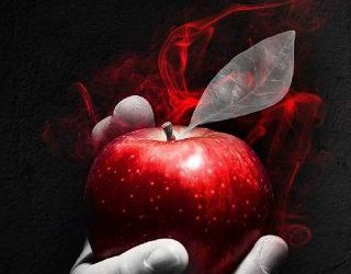 teacher's pet jordan silver