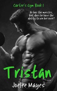 tristan, joelee mayes, epub, pdf, mobi, download