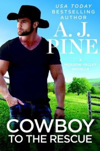 cowboy resuce, aj pine, epub, pdf, mobi, download