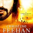 dark illusion christine feehan