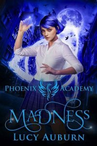 madness, lucy auburn, epub, pdf, mobi, download