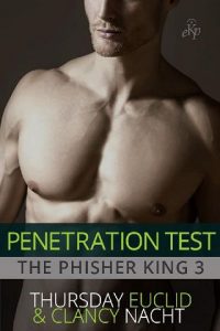 penetration test, clancy nacht, epub, pdf, mobi, download