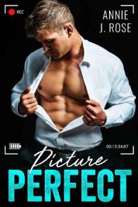 picture perfect, annie j rose, epub, pdf, mobi, download