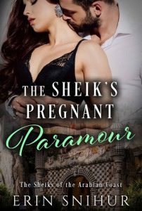 pregnant paramour, erin snihur, epub, pdf, mobi, download
