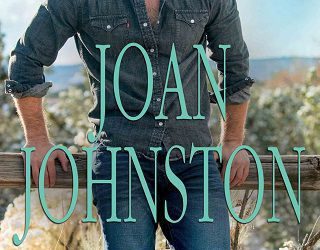 shattered joan johnston