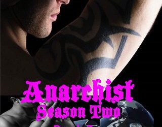 anarchist 2 jordan silver