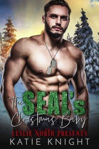 christmas baby, katie ashley, epub, pdf, mobi, download