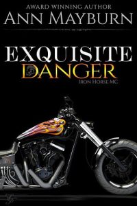 exquisite danger, ann mayburn, epub, pdf, mobi, download