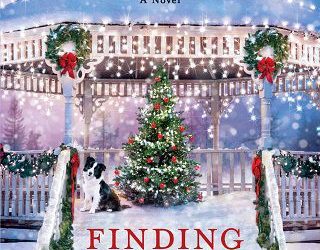 finding christmas karen schaler