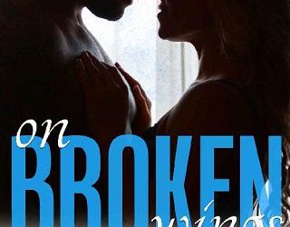 on broken wings heather d'agostino