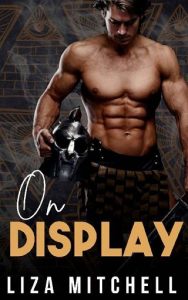 on display, liza mitchell, epub, pdf, mobi, download