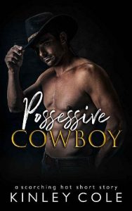 possessive cowboy, kinley cole, epub, pdf, mobi, download