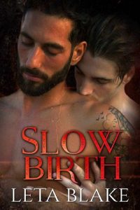 slow birth, leta blake, epub, pdf, mobi, download