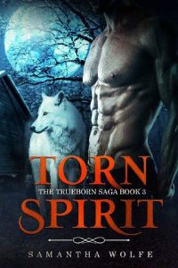 torn spirit, samantha wolfe, epub, pdf, mobi, download