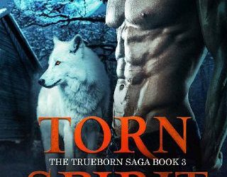 torn spirit samantha wolfe