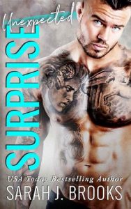 unexpected surprise, sarah j brooks, epub, pdf, mobi, download