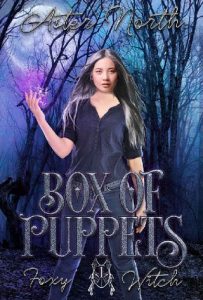 box puppets, aster north