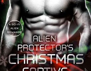 christmas cap viki storm