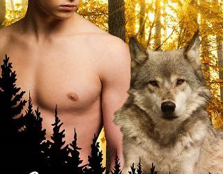 cross heart kiska gray