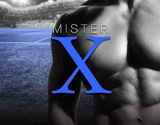 mister x shae sullivan