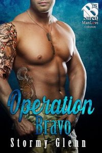 operation bravo, stormy glenn